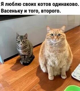 Как я стал «плохим сыном» из-за игровой приставки и принципов⁠⁠