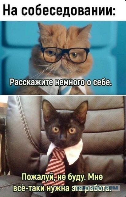Ещё одна рабочая неделя прошла