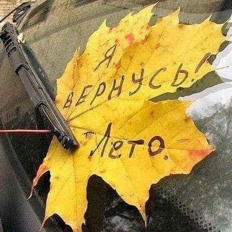 Осенние картинки