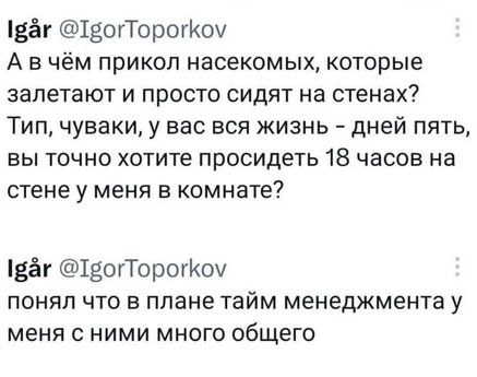 Осень, хули