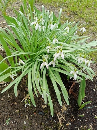 Литературная битва "ЯПлакал" против "Литбесов"