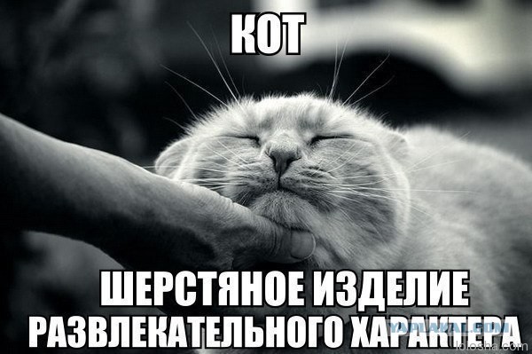 Уделите нам внимание