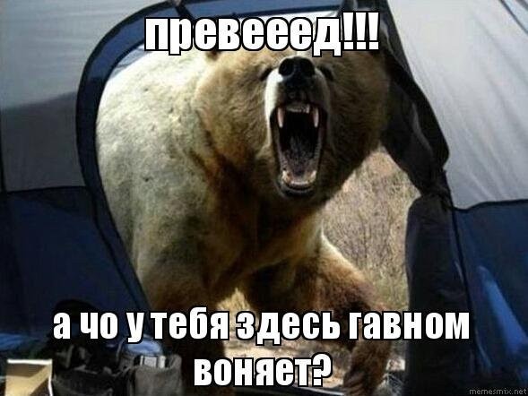 Именно ради таких историй вы и платите за интернет