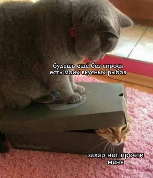Картинки на среду