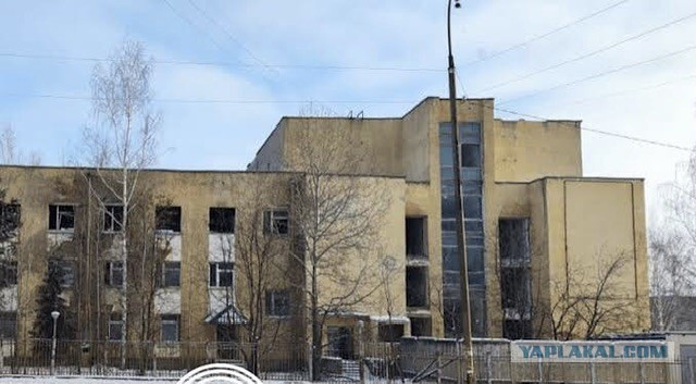 Холостякую и что заметил