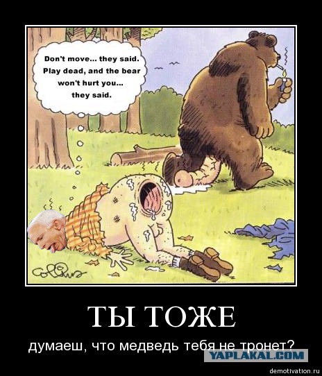 Карикатуры в тему