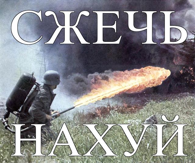 Австралийцы выработали одну полезную привычку