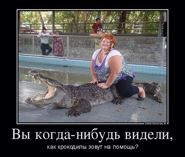 Смешные картинки