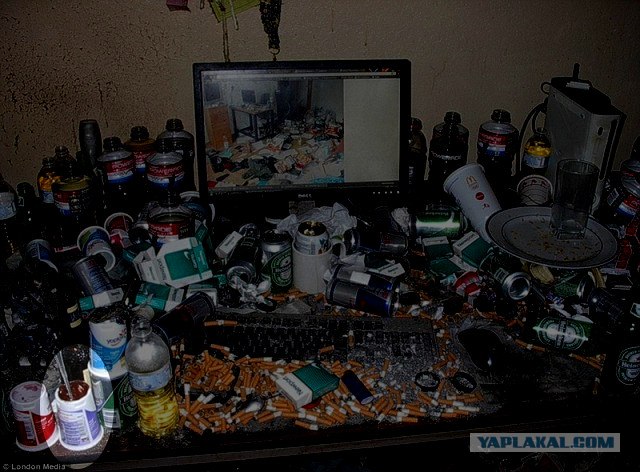 К чему приводит работа на дому в инете...