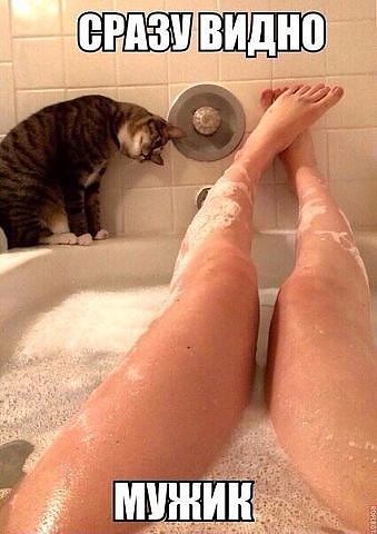 Картинки из инета