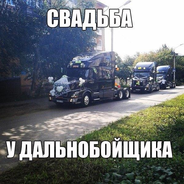 Приколы из сети