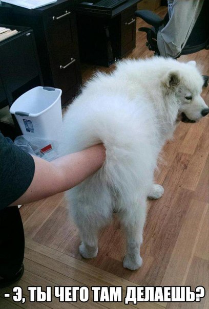 Разные картинки