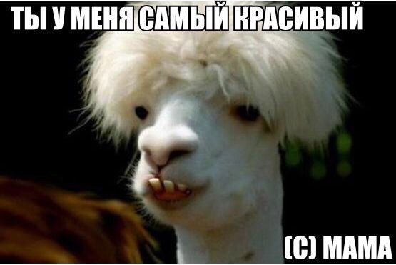 Подборка картинок