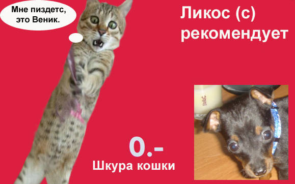 Фотожаба: Кучерявый подарок