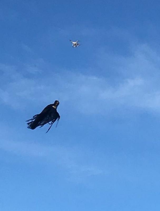Жителей Висконсина напугал летавший на дроне «дементор»