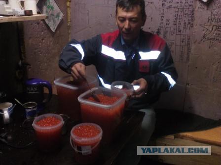 Через тундру напролом…