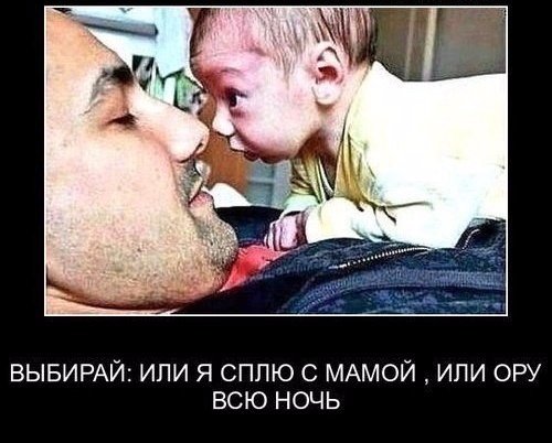 Весёлые картинки 07.12.16
