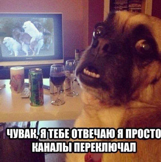 Подборка интересных и веселых картинок