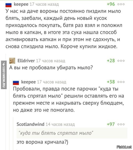 Подборка интересных и веселых картинок