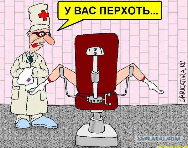 Как гинекологи себе жен выбирают