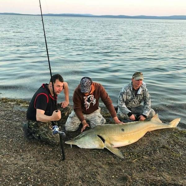 Подборка разного из сети
