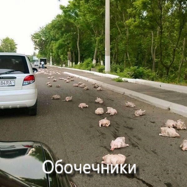 Немного картинок