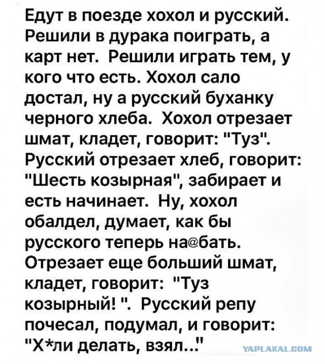 Несколько нетолерантных картинок