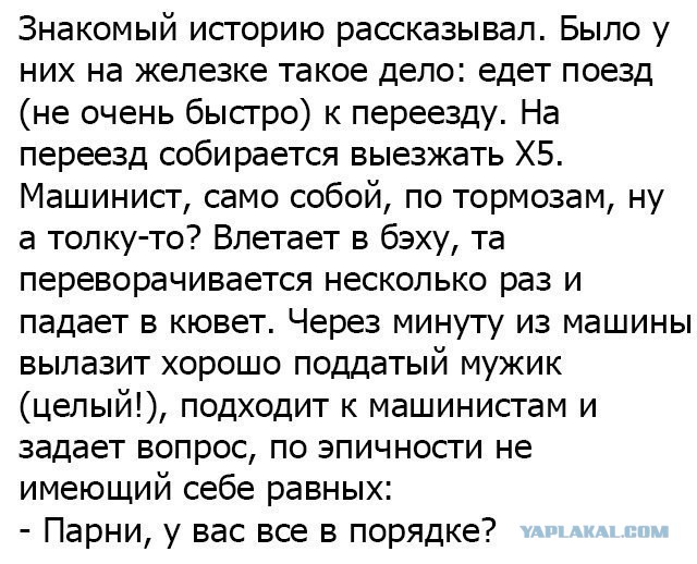 100 картинок для поднятия настроения!