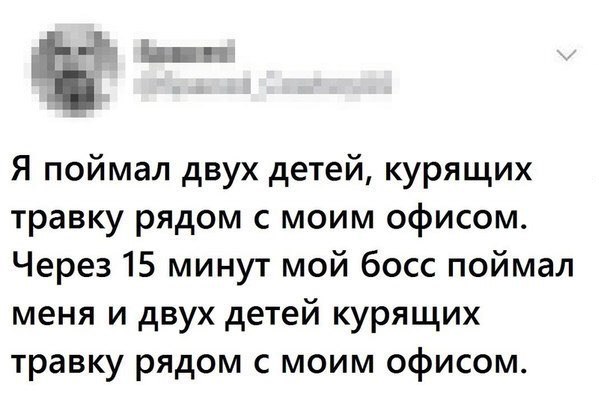 Смешные комментарии из социальных сетей 20.10.2017