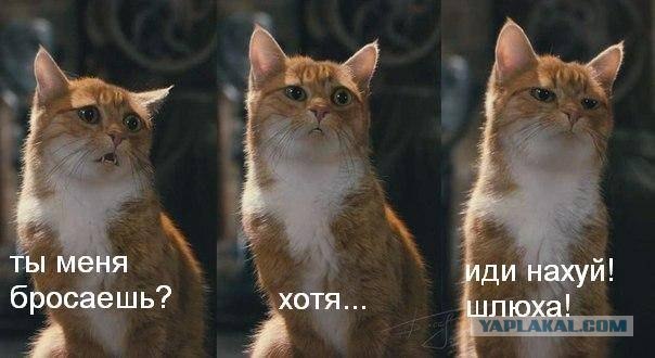 Ты меня бросаешь?