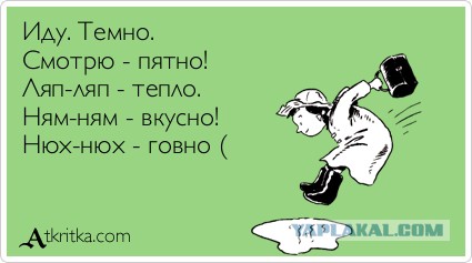 41 год - это пиздец?