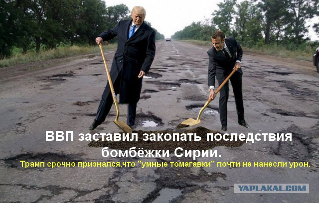 Сажающие дерево Трамп и Макрон превратились в мем