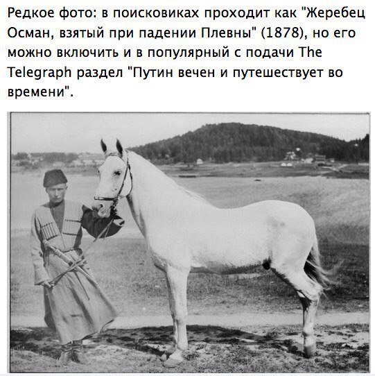Картинки по-приколу