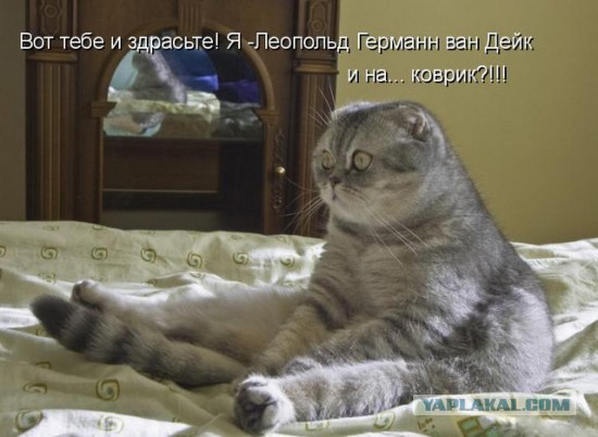 Экспокот 2011