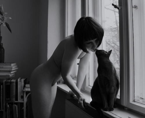Котовторник 1.11.11