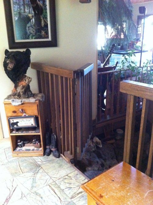 Тихий пруд... внутри дома!