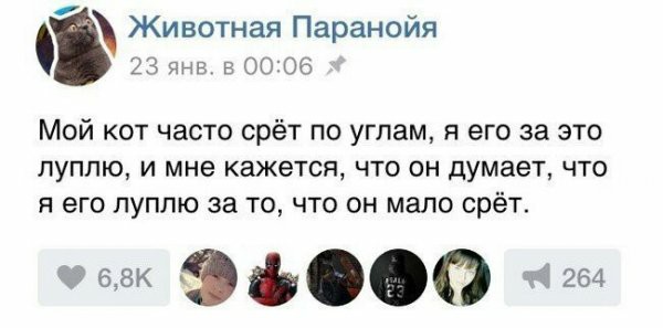 31 первый километр