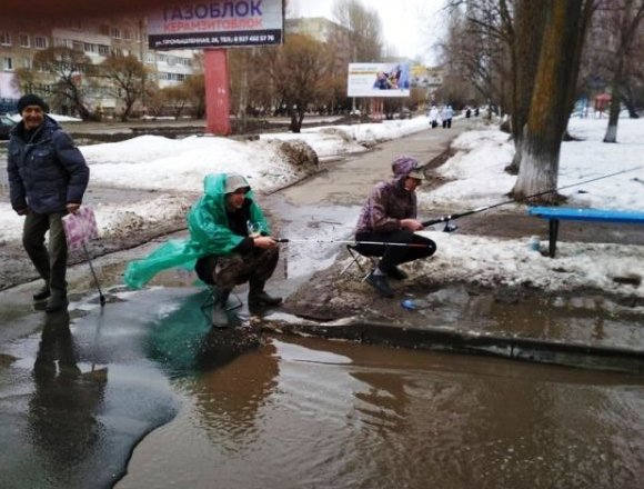 Чудики из социальных сетей