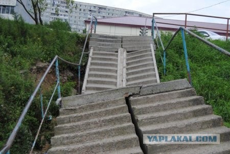В Новой Москве задержали мужчину. За дорожку. Самодельную. Пешеходную. Дорожку.