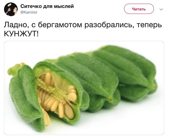 Картинок чуть 03.12.19