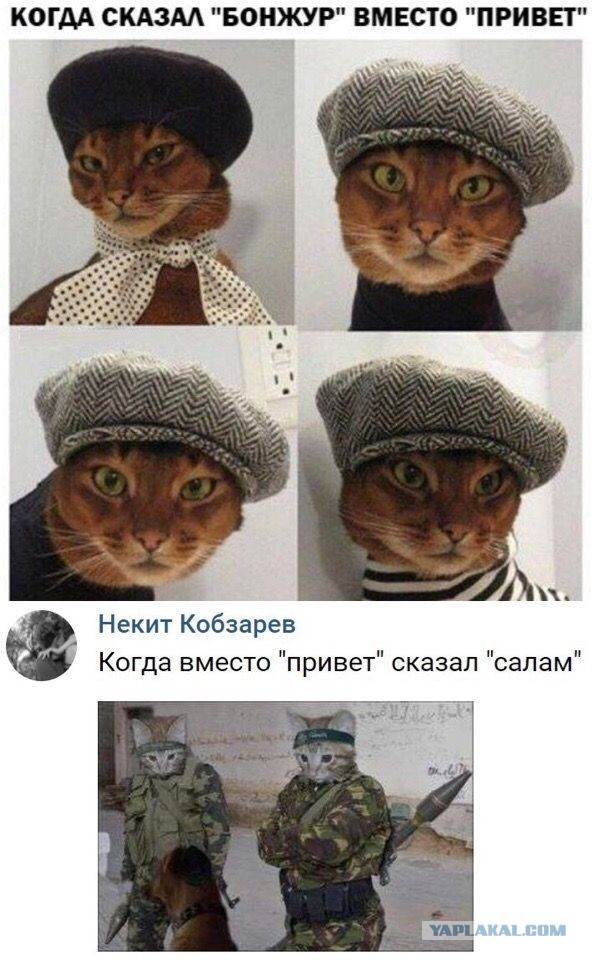Несколько картинок, разных