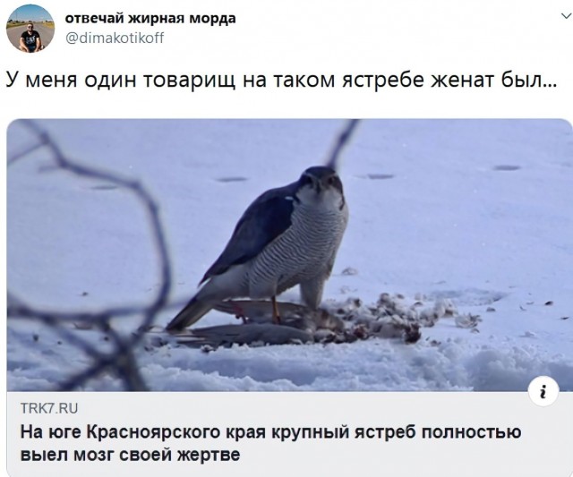 Немного картинок для настроения 13.04.20