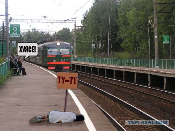 Фотожаба: КРЯ-КРЯ!