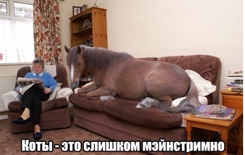 Юмор в картинках 5.10.20
