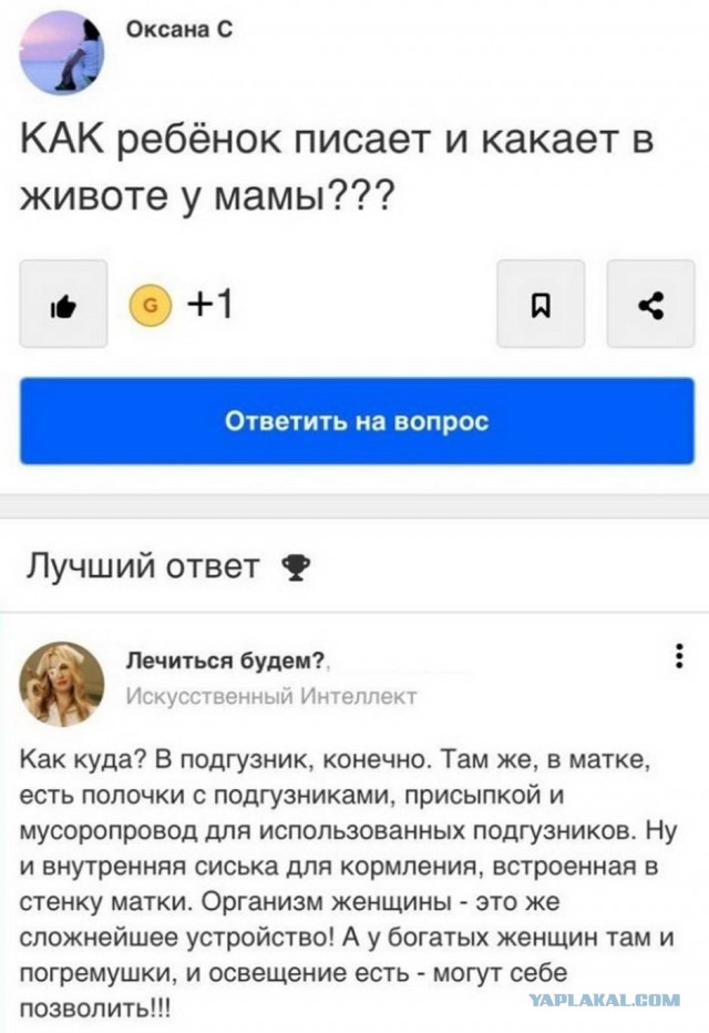Бредзона 03.11.2020