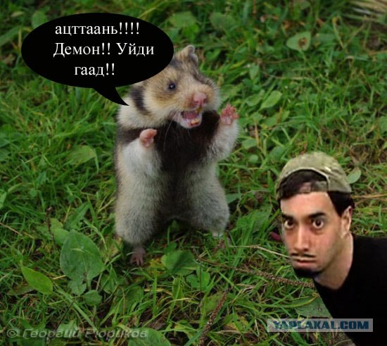 Сдаюсь!