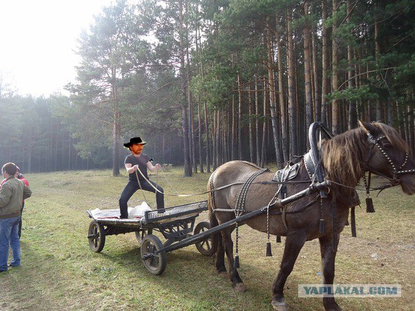 Фотожаба: если б я имел коня...