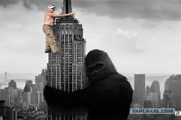 Фотожаба: На пеньке