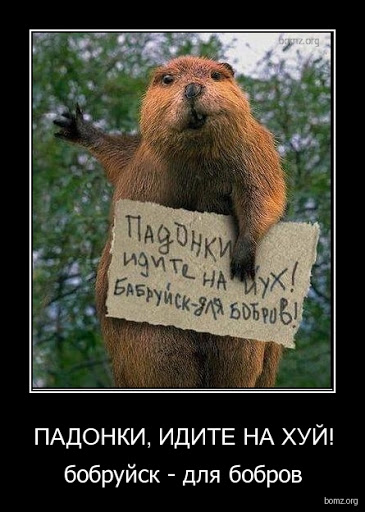 Одному из самых ламповых мемов стукнуло 15 лет. "Превед медвед!"