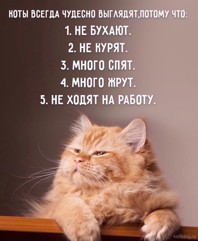 Картинки всяческие 02.06.2021